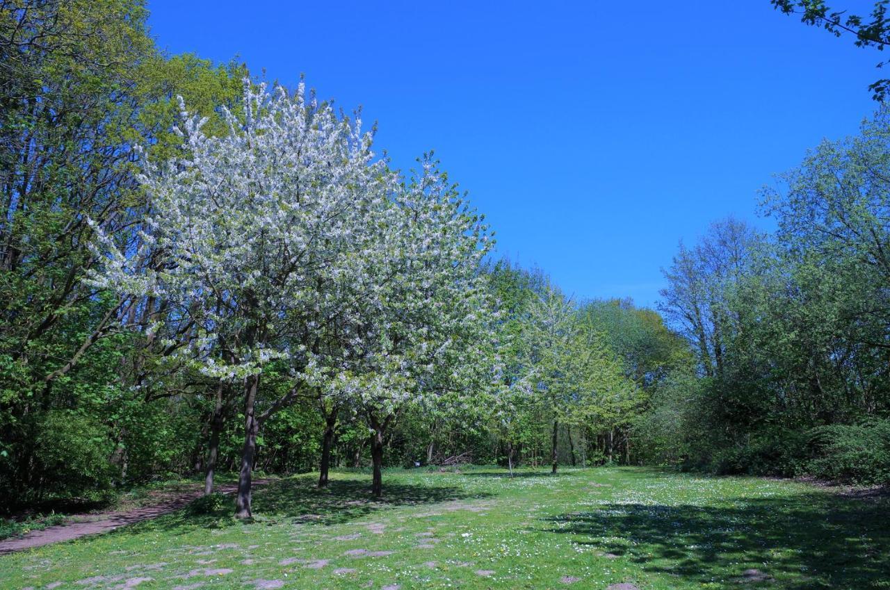ジールクスドルフPanoramic App B02-10アパートメント エクステリア 写真